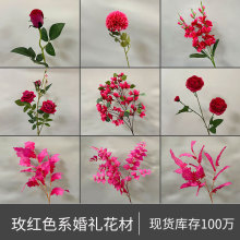 õtϵc滨YüٻҾbõ廨÷·