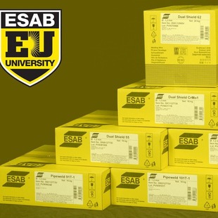 ���ESAB���_�������_�X���zOKTigrod5087