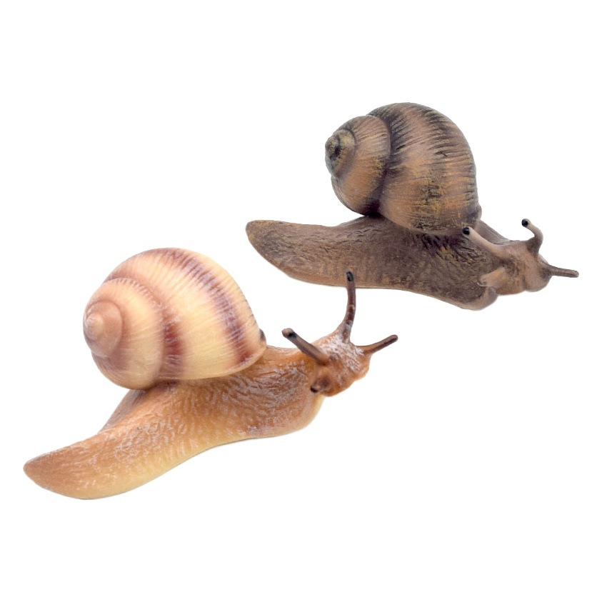 Nuevo modelo de Caracol de simulación de ciencia y educación para niños juguetes modelo de insectos ciclo de crecimiento sólido bonsai adornos transfronterizos