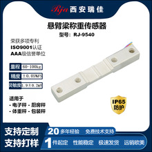 �߾���������������RJ9540����100kg���ӳ��Ǳ������ֻ�����ֱ��