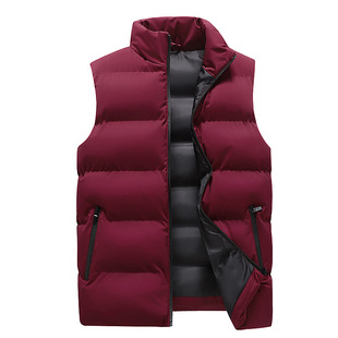 Cross-Border Men's Cotton Vest Winter New Korean Style Youth Stand Collar Thickened Casual Cotton Vest Trendy