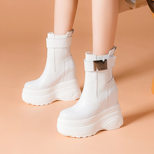 2022ﶬ¿߸ɸ׃߶ѥ14cm_Ƥeٴ