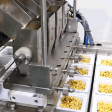 KNֱN b// {*yƷԄӻbC