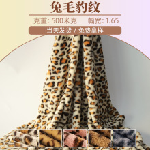 �Ը���ë���yӡ�����Ϝ�]С��ë�ﶬ��ů����h��ë̺�����y����
