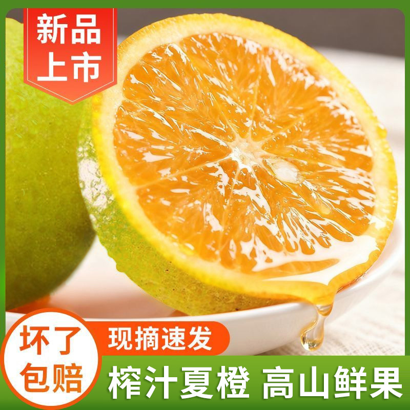 Zigui High Mountain Summer Oranges, Fresh Seasonal Fruit Oranges, 2.5kg 4.5kg Pack, Freshly Picked from the Orchard, Available for Juicing, Wholesale, Free Shipping