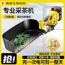 果园新款采茶机通用电动多功能绿篱机充电式采摘2024茶田园林神器
