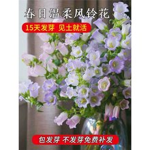 �L⏲ݻ��N�����҃��ļ����N�_�����Ի����̨�׻�N�����ݲ���