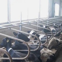 SҹţԴţOBţţţ̶ţ