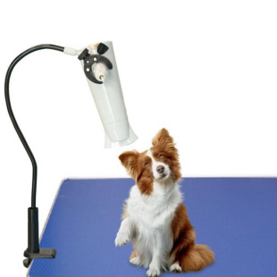 Pet Hair Dryer Holder Clip Desktop Lazy Hair Dryer Support Stand Can Be Adjusted to Any Angle to Blow Hair