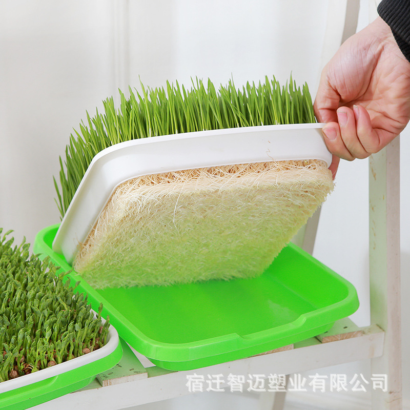多功能育苗盘一件起批芽苗水培蔬菜豆芽培小麦豌豆苗种植盘育苗盘|undefined