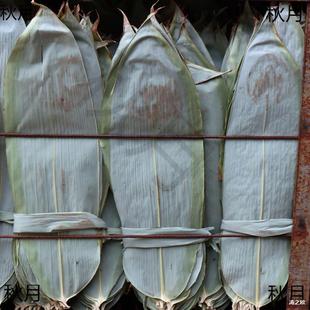Wild Bamboo Leaves for Making Zongzi, Large Wide Leaves for Home Use, Wholesale for Dragon Boat Festival Zongzi Wrapping