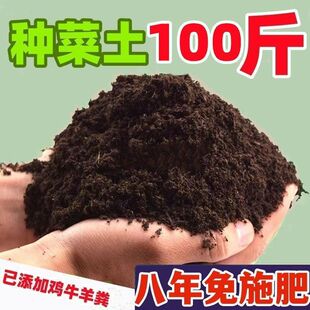��ͥ�N�ˠI�B���̨���Ԍ������ЙC�B�����߲˷Nֲ�����������