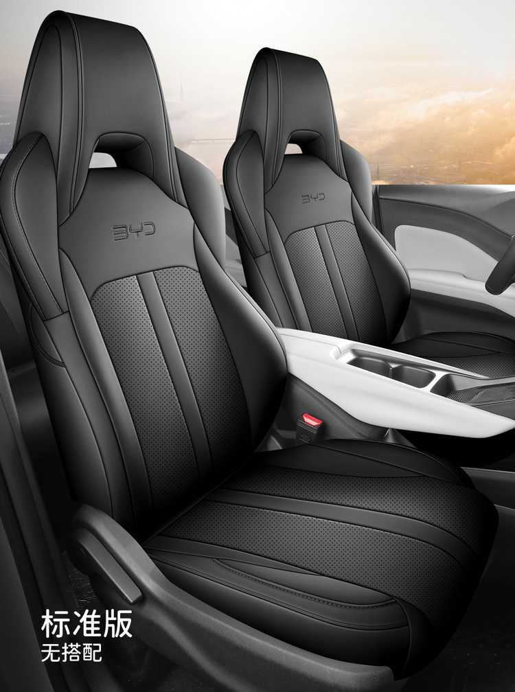 Byd Seagull Seat Cover for All Seasons, Seagull Special Seat Cushion, All-Inclusive Car Seat Cover, Car Seat Cushion