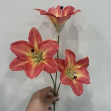 ���滨��ݰٺϷ�����ٺϼҾӻ�c�bٻ��̈��������߻��Ļ�c