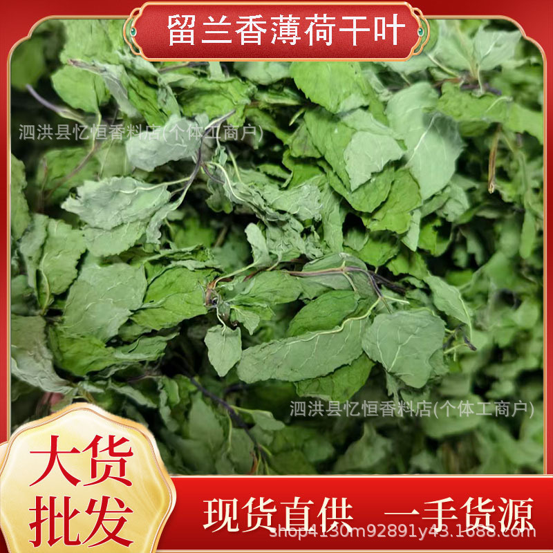 2026 Wholesale Peppermint Leaves, Direct Supply from the Base, Fresh Dried Peppermint Leaves