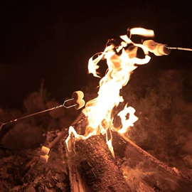 烧烤盘;烧烤架烧烤网;组合烤具