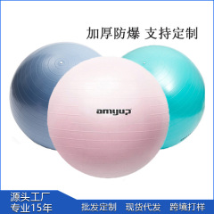 ヨガボール フィットネスボール 厚手 防爆 65cm 妊婦用 助産用 スポーツヨガボール 子供用感覚統合トレーニングボール