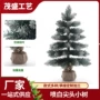 节日桌面尖头小树圣诞树