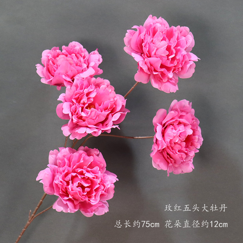 Rosa rojo de cinco cabezas Peonía