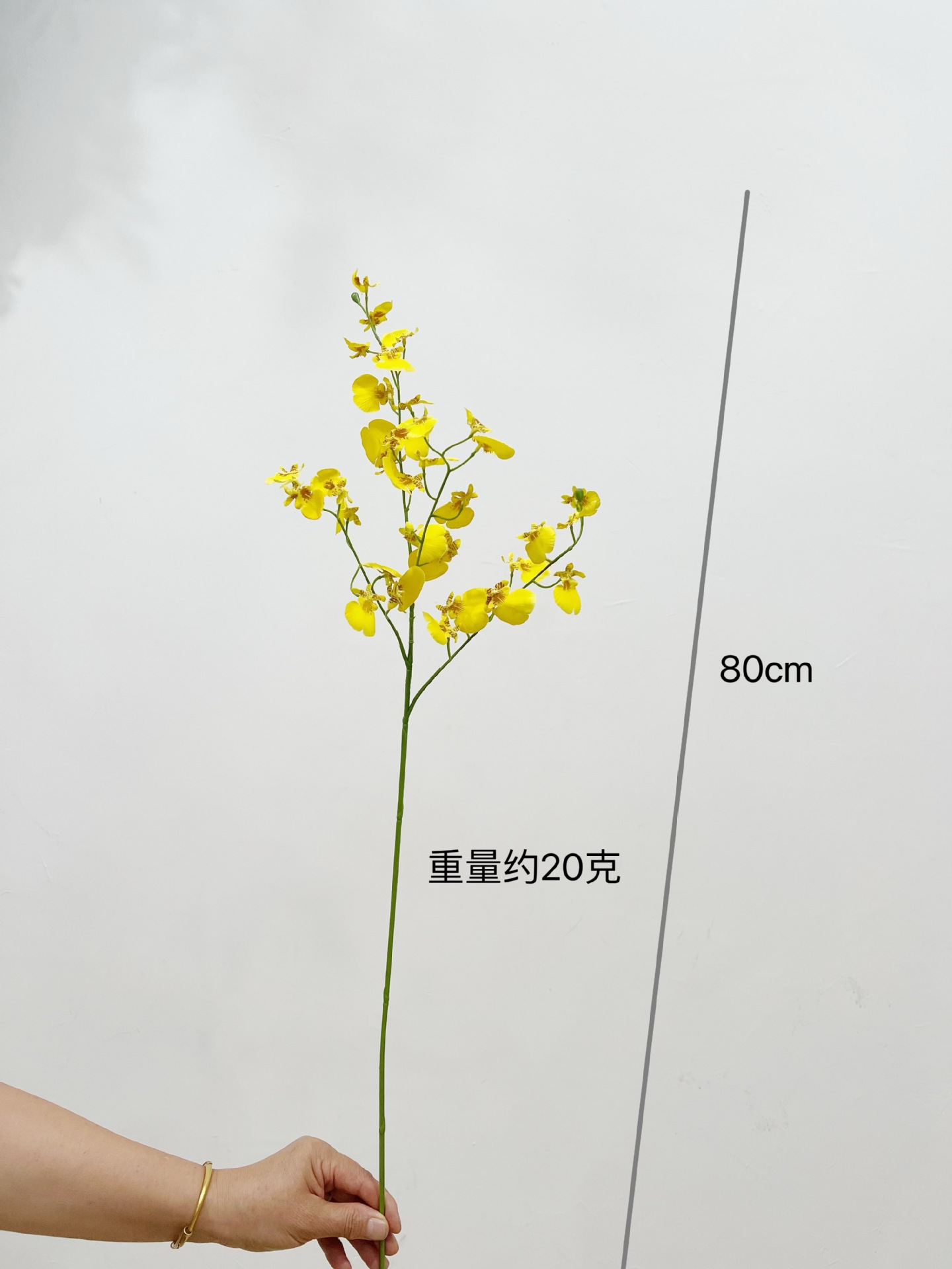 공작 춤 난초 [노란색]]