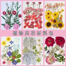 �ɻ��������ϰ����l�滨ֲ��˱���� �R�� ���� ���z�֙C�� �Ʒ