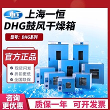 上海一恆DHG-9030A電熱鼓風干燥箱恆溫烘箱工業烤箱實驗室烘箱