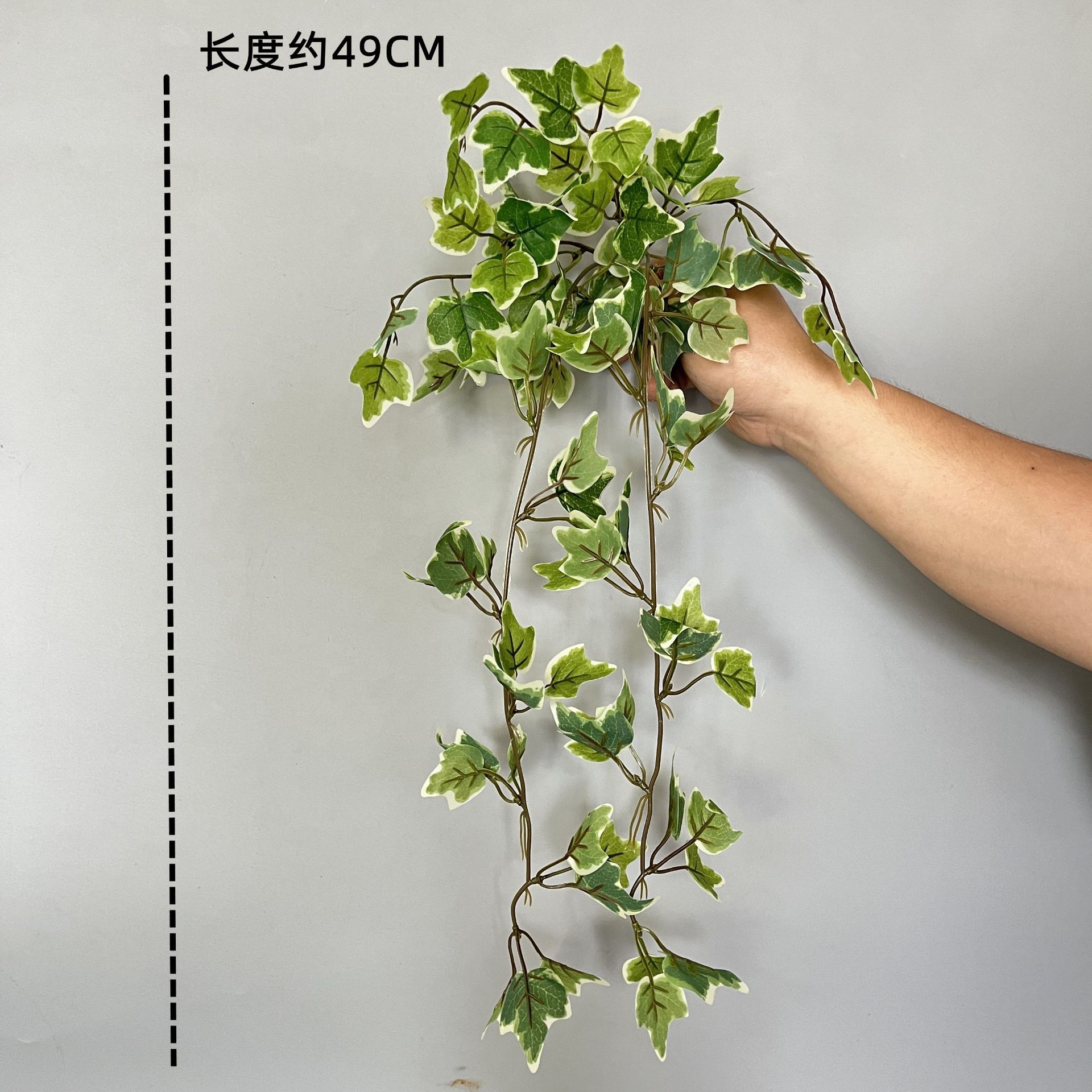サツマイモの葉