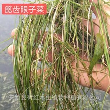 �нӃ���ˮ�|��β�� ���~�� ���X���Ӳ� ΢�X���Ӳ� �����幤��