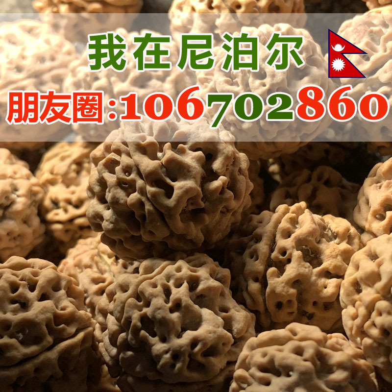 金刚菩提尼泊尔金刚菩提五六瓣双龙蜂窝大金刚菩提子原籽批发按斤|ms