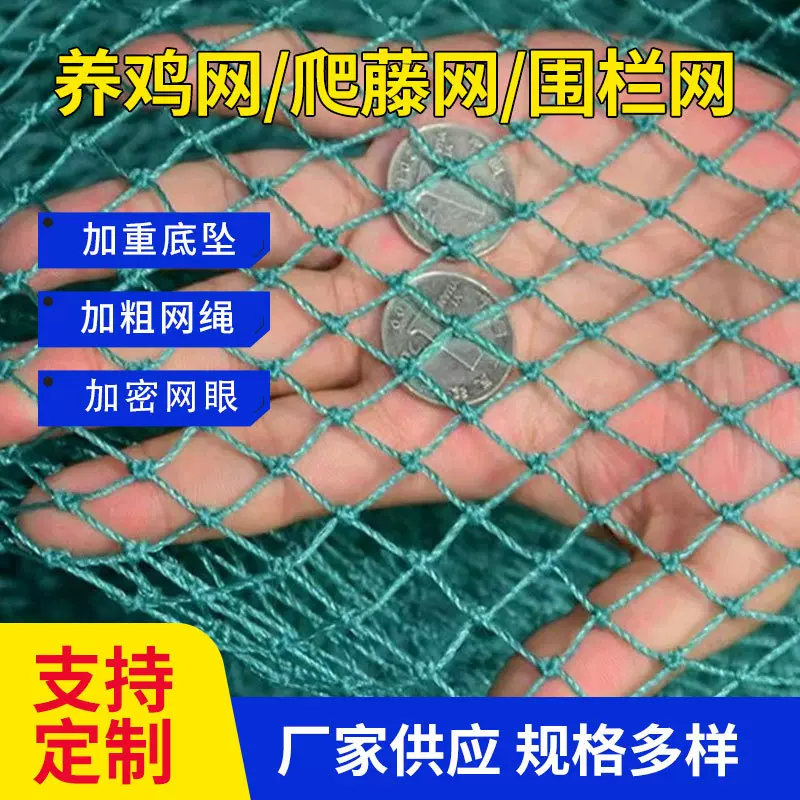 尼龙网农业防鸟网果园鱼塘防鸟天网家禽养殖养鸡网爬藤围防鸟神器