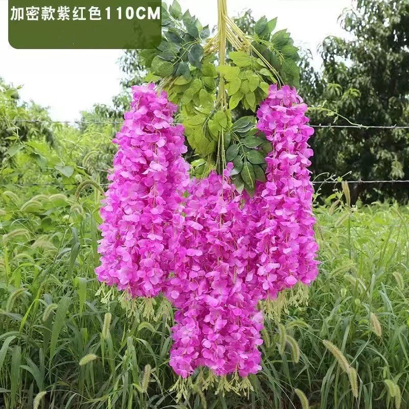 암호화된 두부 보라색
