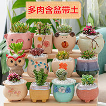 ֲֶMײ⺬莧kGֲܰ]