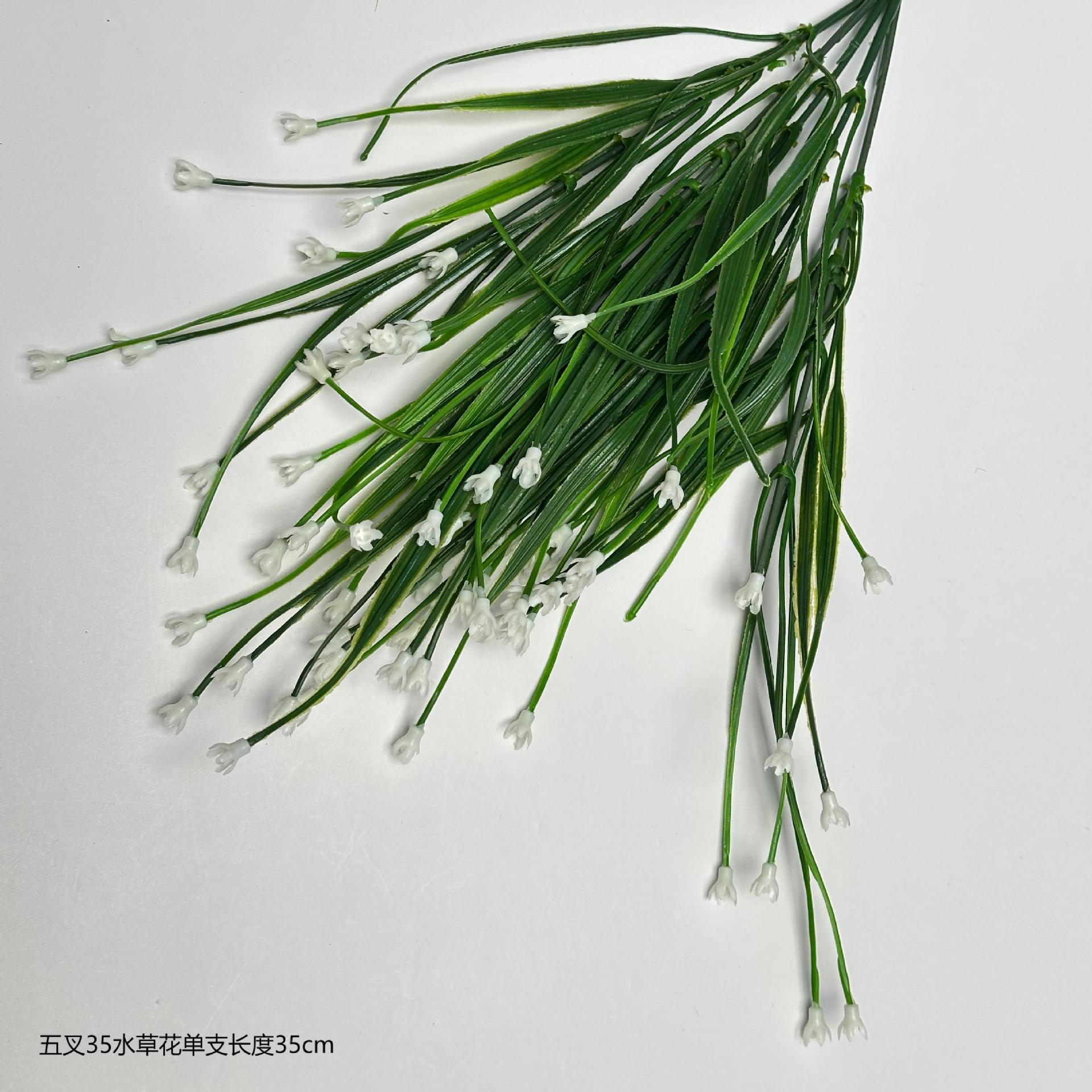 수생 식물 꽃