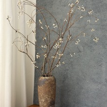 С׹ɻ֦޸֦ɹb廨L滨