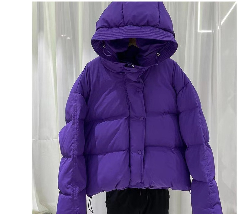 Dames winterjas kort gevoerd losvallend model met capuchon_voghion.com