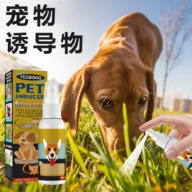 身体护理套装;其他美妆工具;头皮护理用品