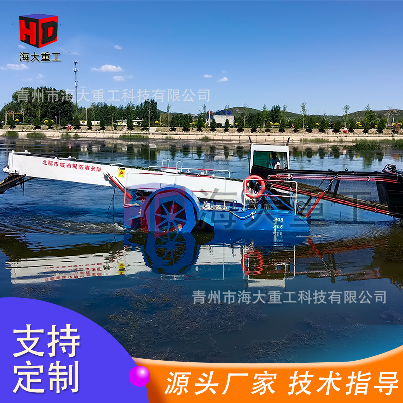 水里用的割芦苇的机器 白洋淀芦苇割草船 大型全自动割苇子设备