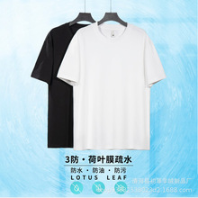 220G����50֧�p������T����Ů��ɫ�A�I����t��ˮ���ͷ����w��
