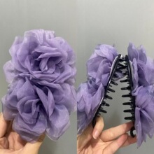 2025�¿��nϵ��Ͱ��W������ץ�AŮ�߼����^���l��X�ױP�l