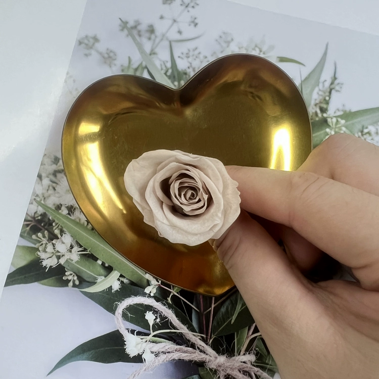 Материалы для DIY вечной жизни цветка, класс B, голова вечной розы 2–3 см, маленький брелок-розочка с основным материалом
