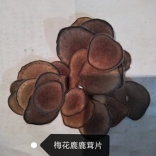 ������ș���F؛���l�����R¹��Ƭ ÷��¹��Ƭ 100���������]