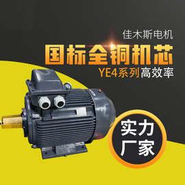 佳木斯电机YE4系列高效率三相异步电动机H80～H355 90kw110kw
