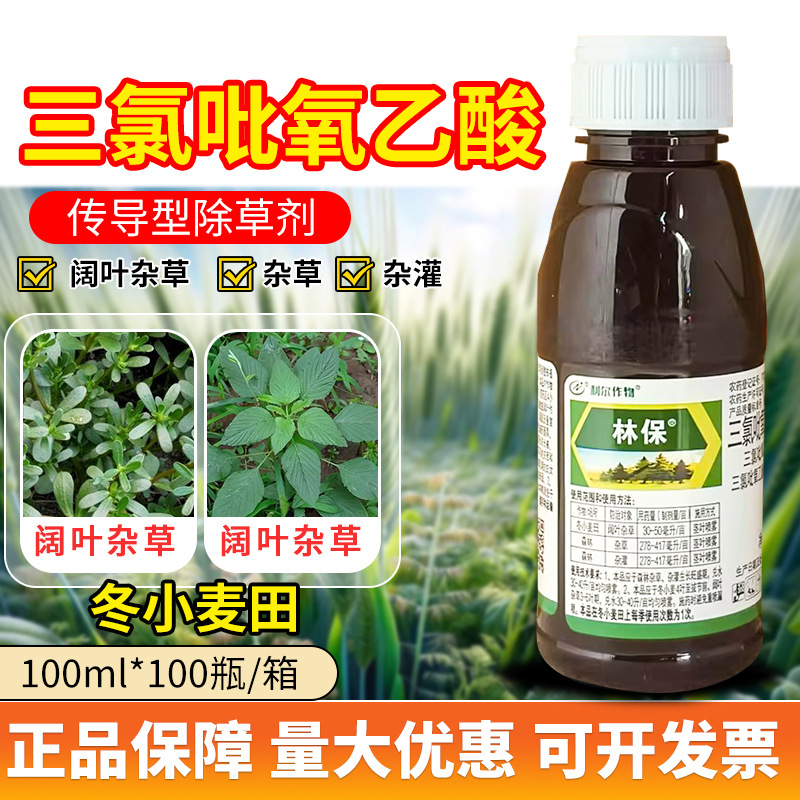 利尔屠灌三氯吡氧乙酸冬小麦田灌木阔叶杂草死根烂根剂农药除草剂