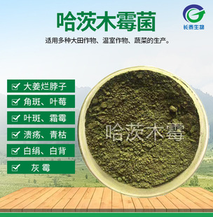 �L̩����΢��������S�� �����������ľù ����ľù����