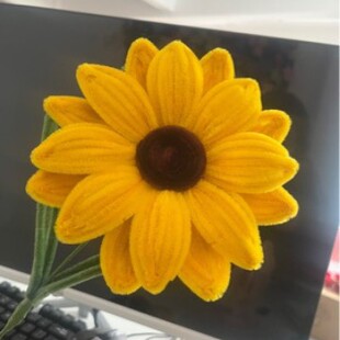 ��Ʒ��֧���տ�ŤŤ�������̎����Y��̎������I�����տ�