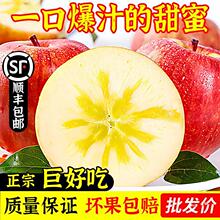 新疆阿克苏冰糖心苹果级当季新鲜水果10斤果丑苹果整箱