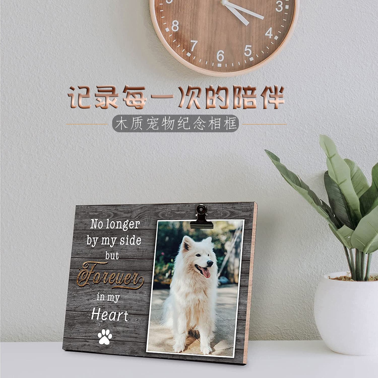 宠物木质相框狗狗纪念图片相框摆台猫咪木质宠物狗狗相框挂件相框