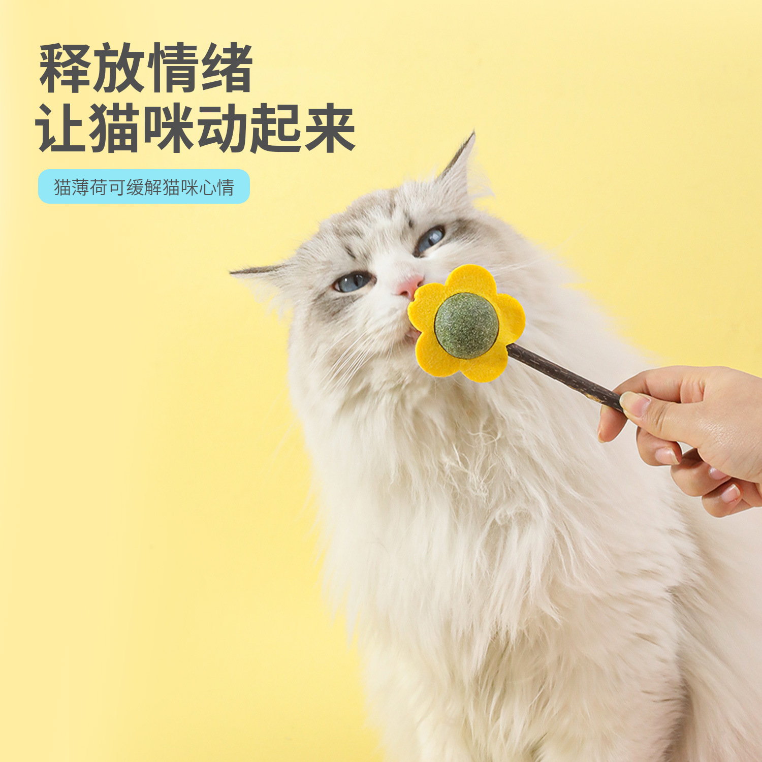 Mutian Polygonum peludo bola limpiador de dientes de gato bolsa de dibujos animados lamiendo piruleta de música menta gatera spot al por mayor