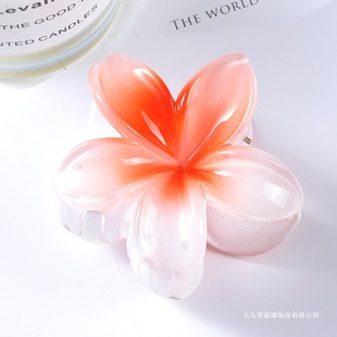 ����ɫ�u����ץ�A�����l�A�l羳�¿�ɐ۝u׃���ϰlץ���¸��R