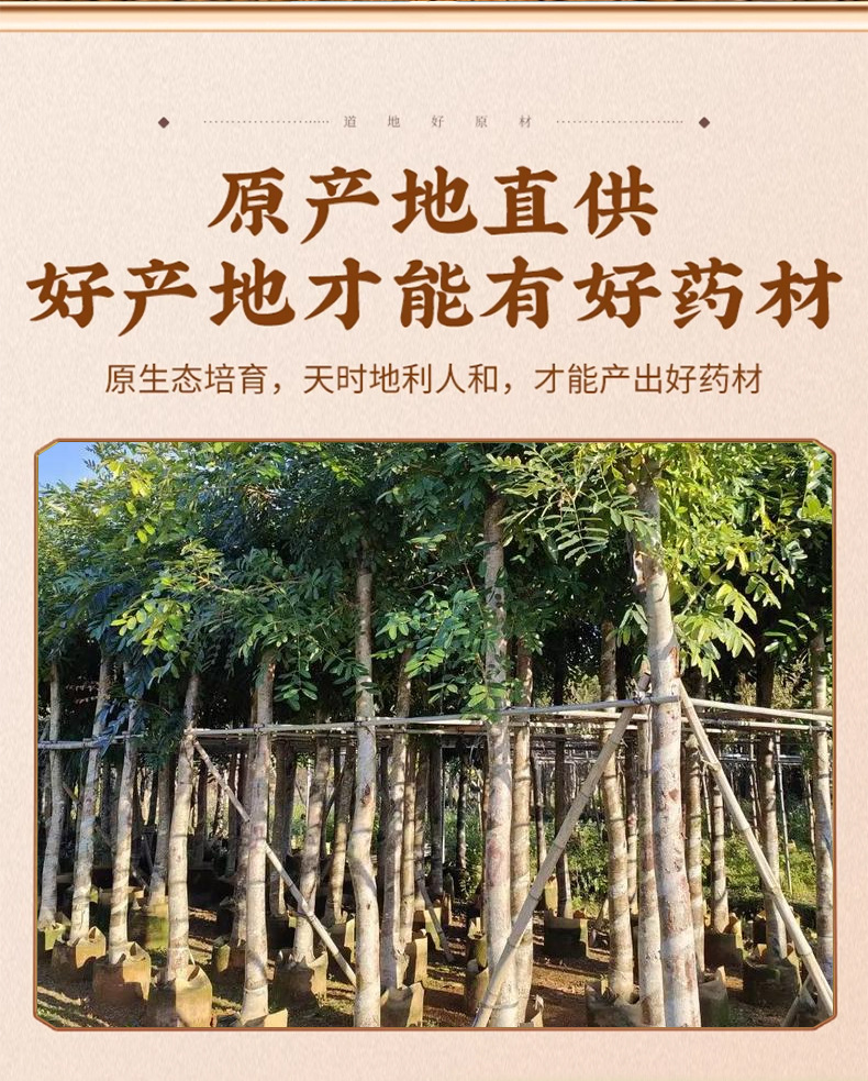 Fenxinmu Dried Walnut Septum 500g Traditional Herbal Tea Ingredient key features